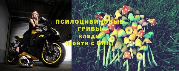амф Горно-Алтайск