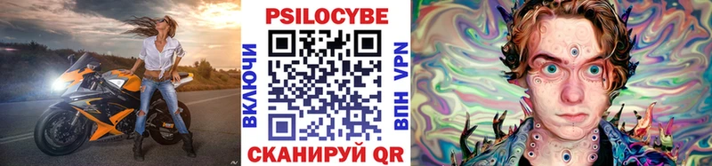 Псилоцибиновые грибы Cubensis  Грязи 