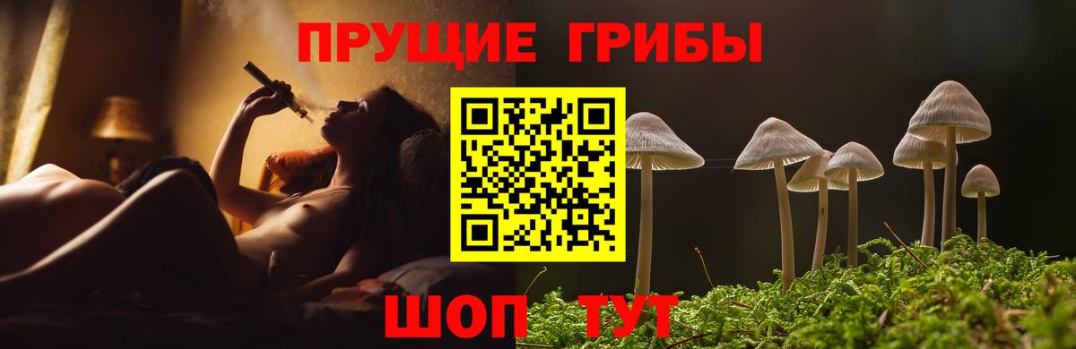 Псилоцибиновые грибы мицелий Грязи